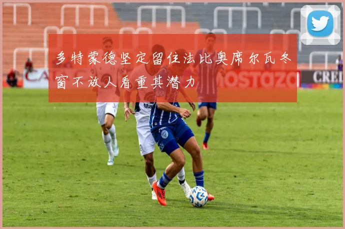 多特蒙德坚定留住法比奥席尔瓦冬窗不放人看重其潜力
